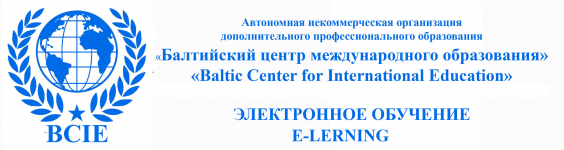Логотип АНО ДПО "Балтийский центр международного образования"